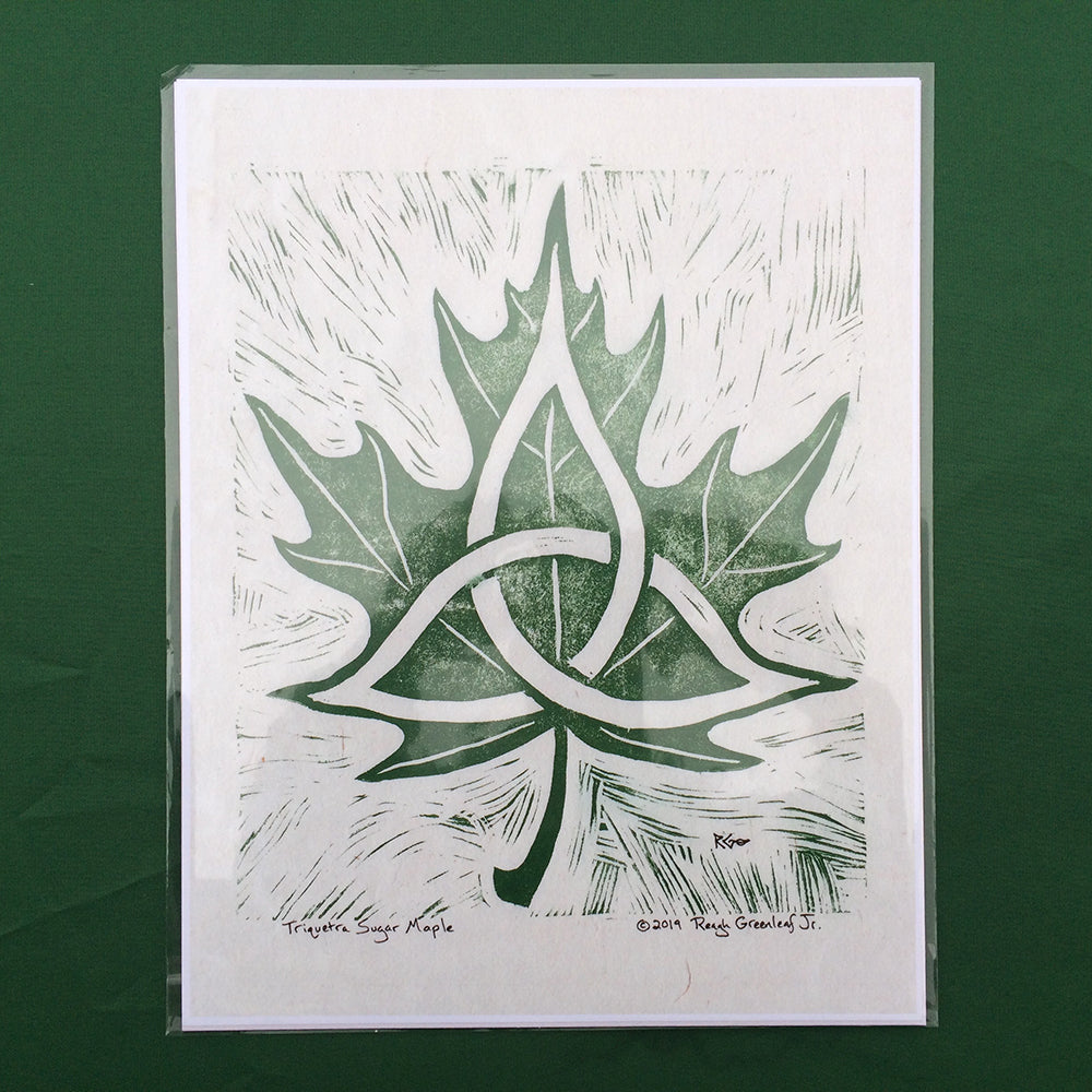 Triquetra Sugar Maple - Art Print