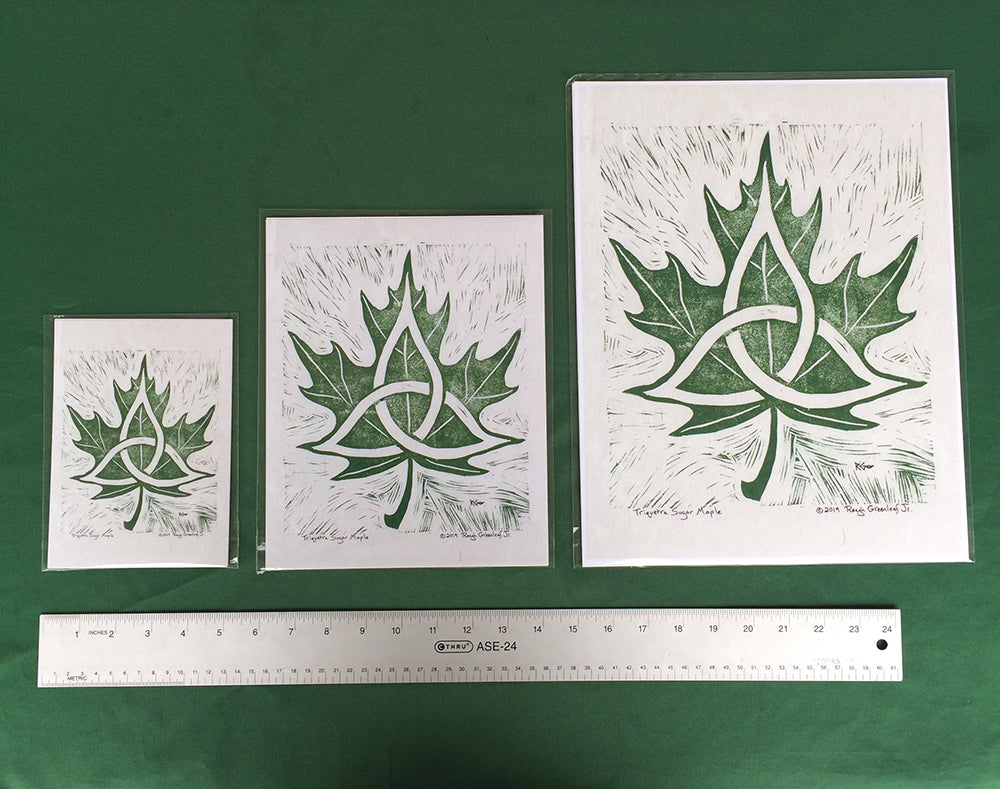 Triquetra Sugar Maple - Art Print